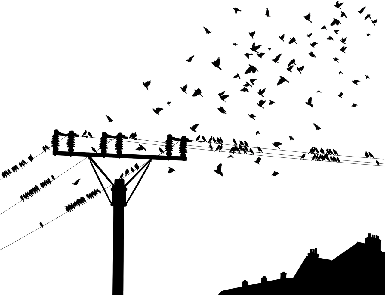 回眸最初 第26页